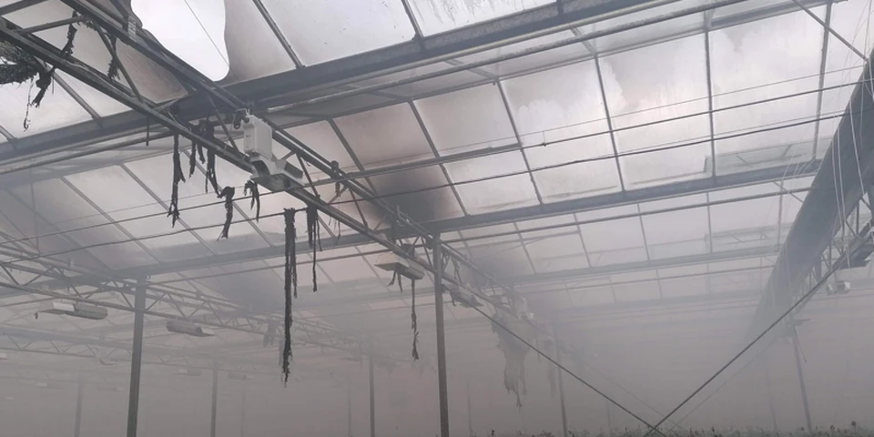 Pożar szklarni w gospodarstwie ogrodniczym w Brzeziu