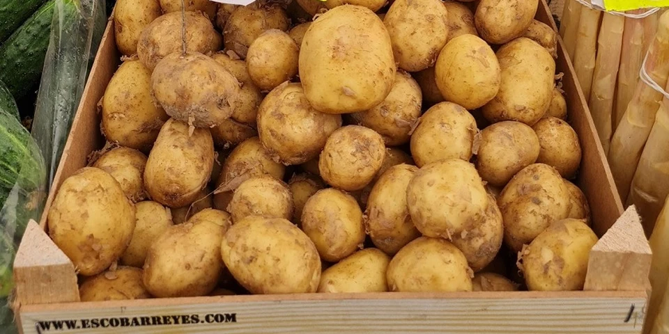 Ponad 400 ton ziemniaków z Polski trafiło do Uzbekistanu
