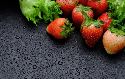 Bez kamuflażu – możliwości ochrony warzyw i truskawek w Zielonym Ładzie - Webinarium