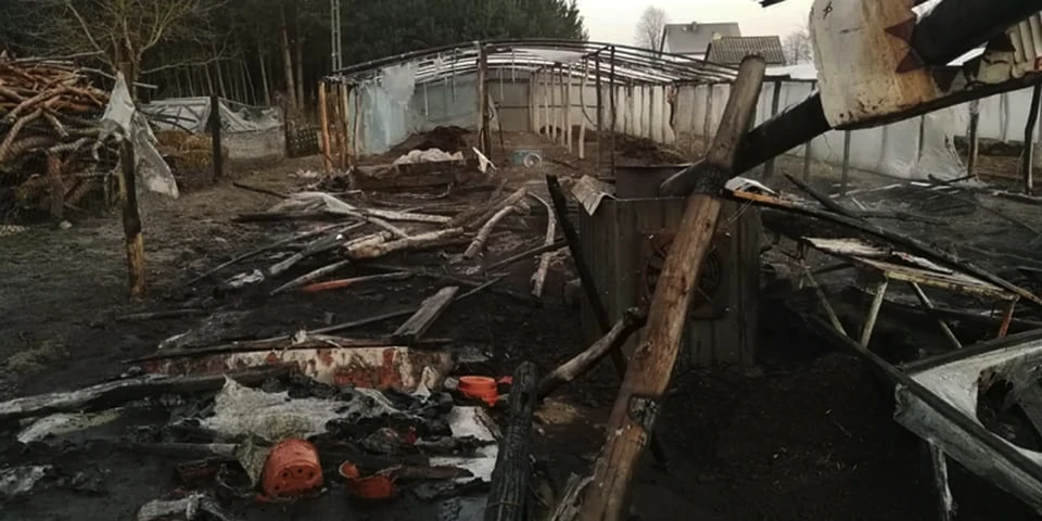 Pożar w Nowych Kotlicach: spłonęły dwa tunele i setki sadzonek