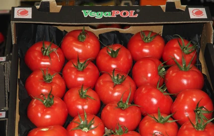 Bronisze: zdrożały polskie pomidory i papryka z importu