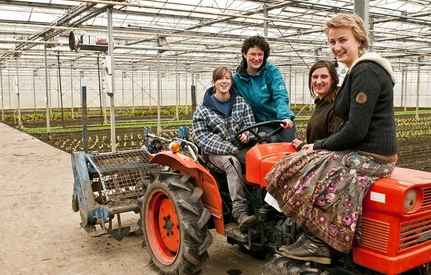 PORADNIK: Jak przyciągnąć pracowników do ogrodnictwa?