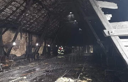 40 tys. kurczaków zginęło w pożarze gospodarstwa pod Nowym Tomyślem