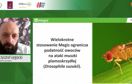 Webinarium "Doprowadzić truskawki do zbioru w dobrej kondycji": zrównoważona ochrona - zalecenia na ten sezon