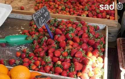 Jakie są różnice w cenach owoców miękkich na rynkach hurtowych w całej Polsce?