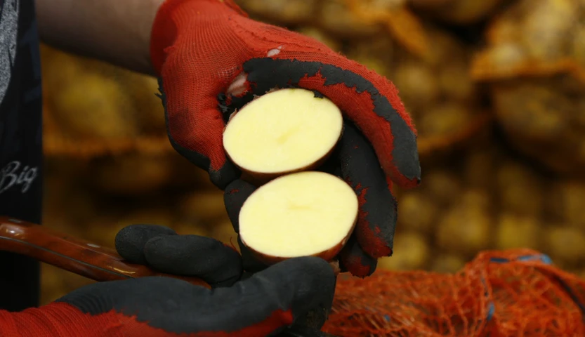Łatwiejszy handel polskimi ziemniakami